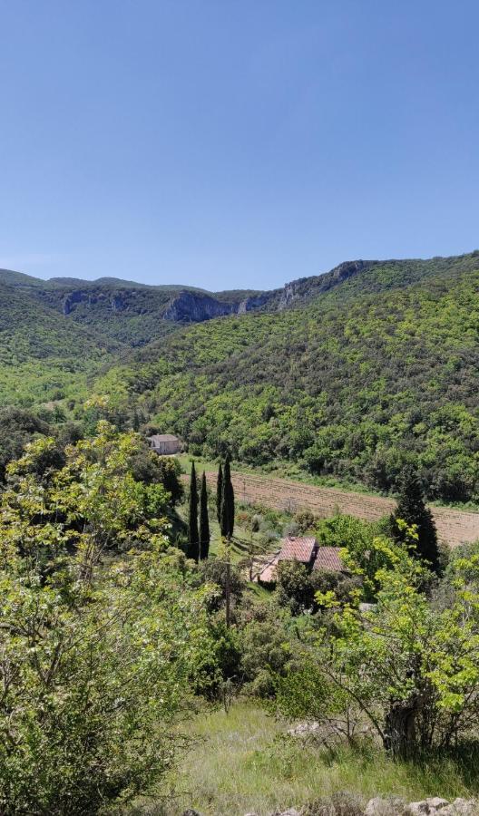 Gite Du Vallier Villa Sampzon Exterior photo